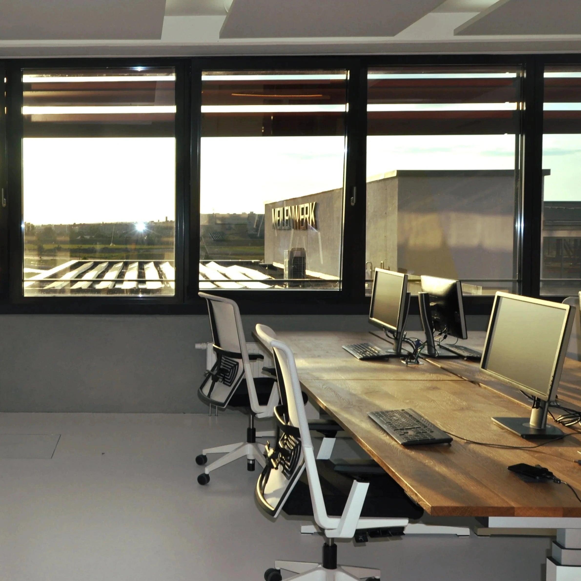 Ein Büro mit mehreren höhenverstellbaren Schreibtischen mit Tischplatten aus Eiche.